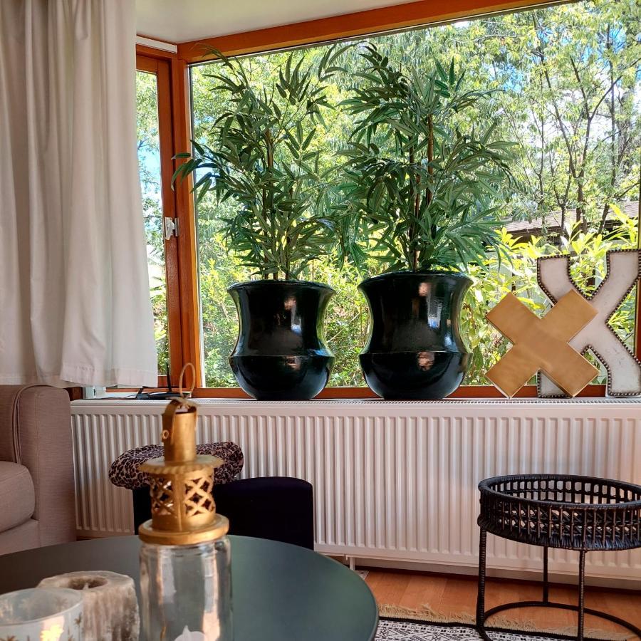 Heerlijk Chalet In Prachtige Natuur. Doornspijk المظهر الخارجي الصورة